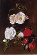 Floral, beautiful classical still life of flowers 028 unknow artist